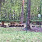 Площадка для пикника №6 Природно-исторический парк «Кузьминки-Люблино»