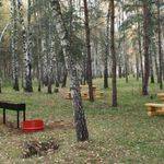 Площадка для пикника №1 Природно-исторический парк «Кузьминки-Люблино»