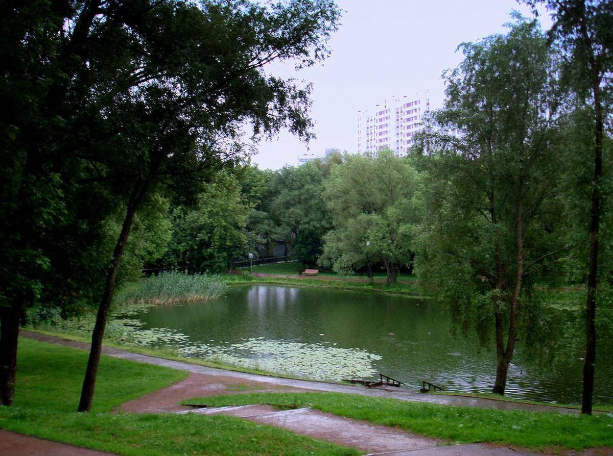 Фото: Зона отдыха у воды в парке Сад будущего