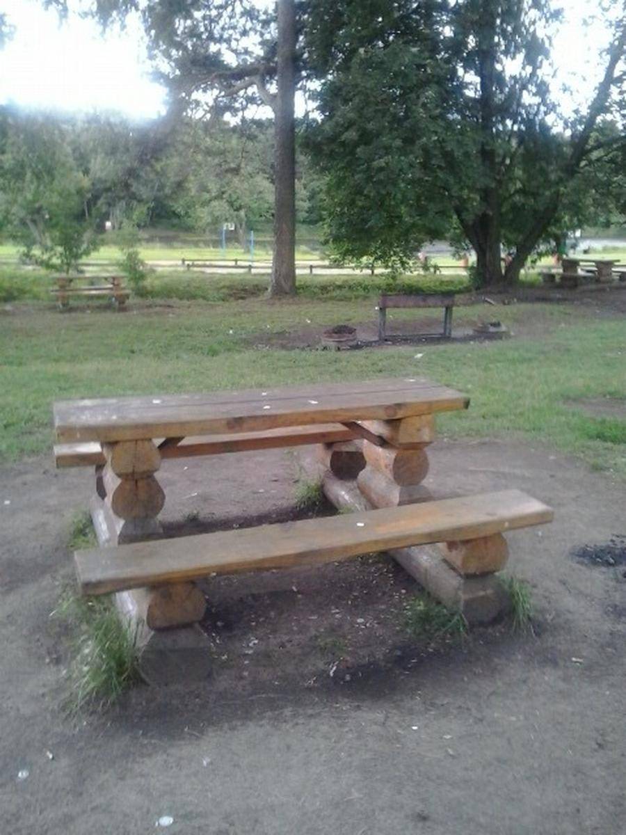 Фото: Площадка для пикника №5 Природно-исторический парк «Кузьминки-Люблино»