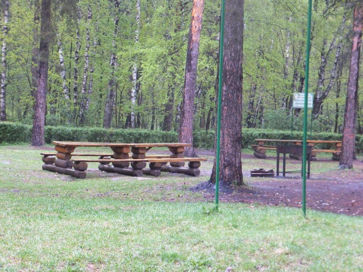 Фото: Площадка для пикника №6 Природно-исторический парк «Кузьминки-Люблино»