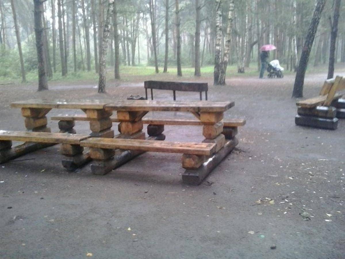 Фото: Площадка для пикника №8 Природно-исторический парк «Кузьминки-Люблино»- Есть фото