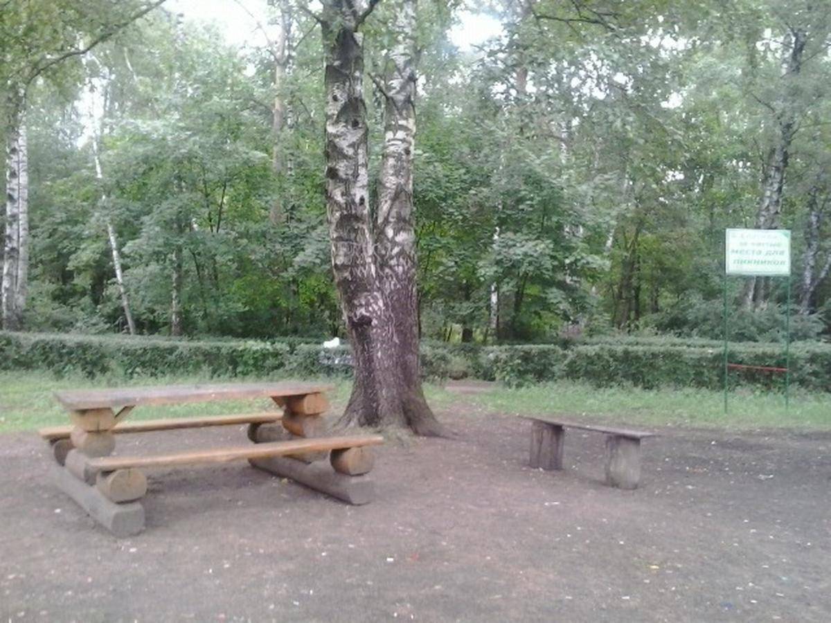 Фото: Площадка для пикника №9 Природно-исторический парк «Кузьминки-Люблино»