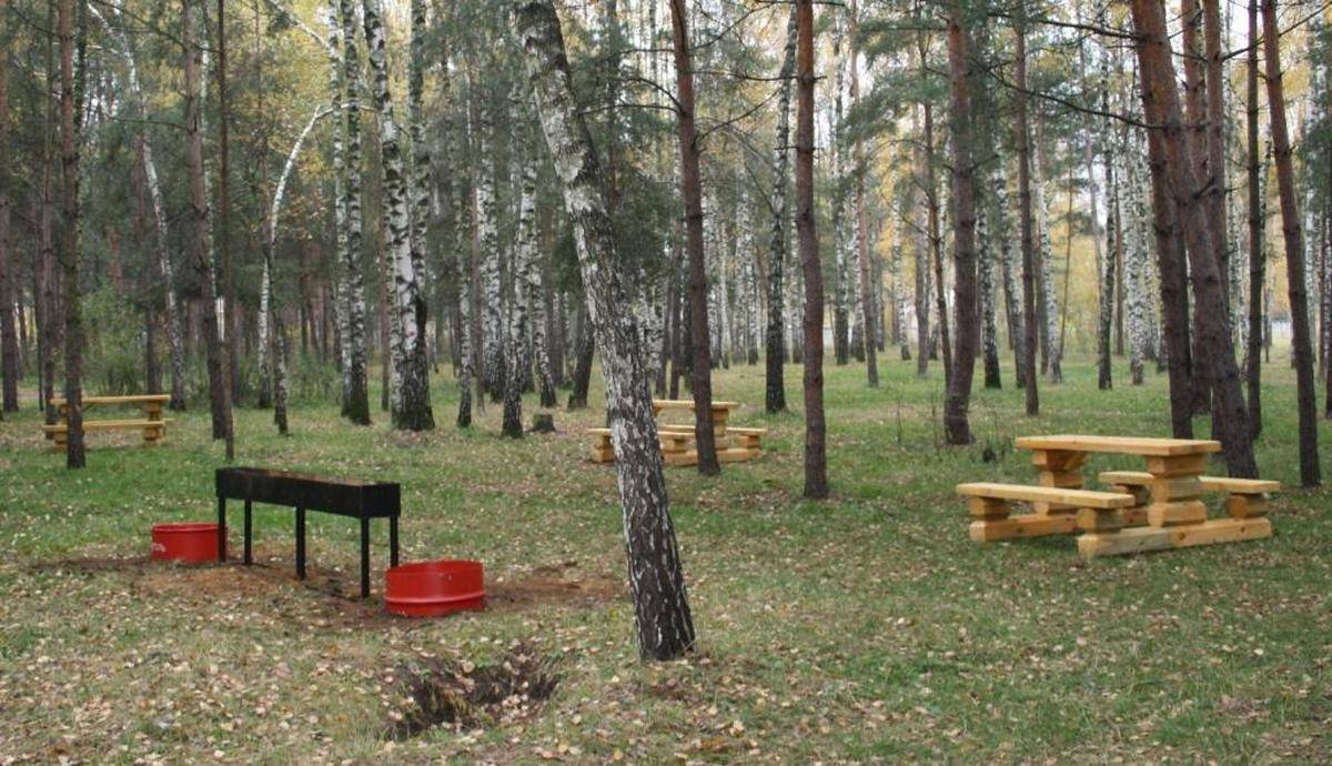 Фото: Площадка для пикника №1 Природно-исторический парк «Кузьминки-Люблино»