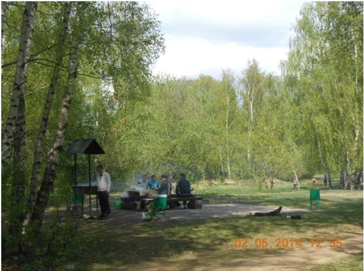 Фото: площадка для пикника №12 ПИП «Москворецкий»
