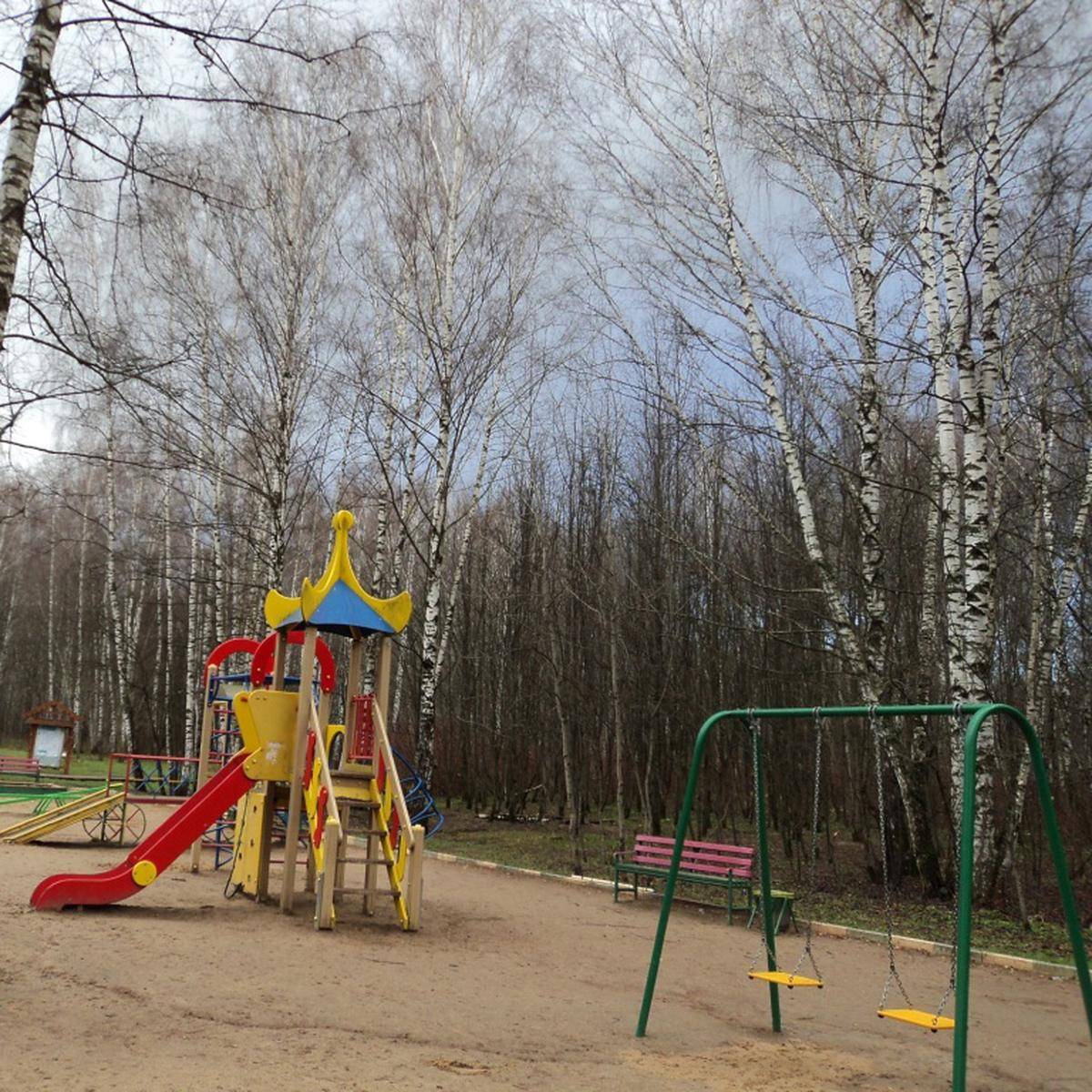 Фото: Детская игровая площадка №3, Алешкинский лесопарк