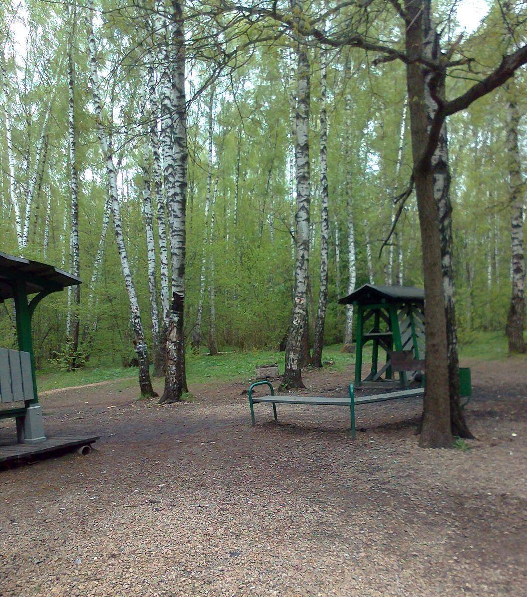 Фото: Площадка для пикника №1, рядом с Балаклавским проспектом ПИП «Битцевский лес»