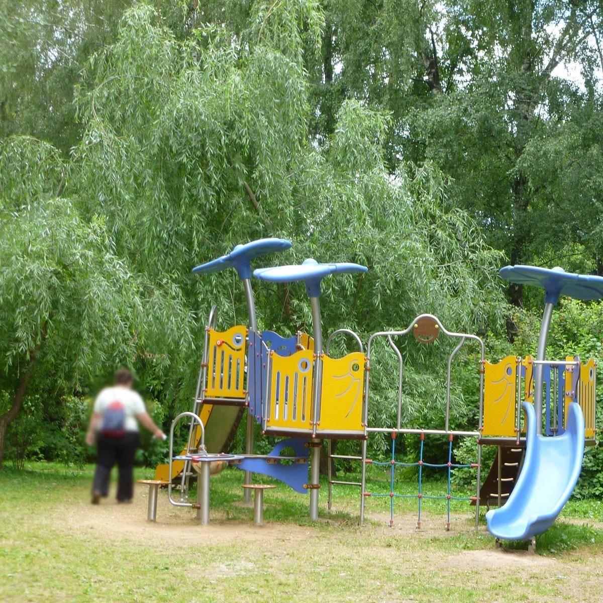 Фото: Детская игровая площадка, Видновский лесопарк