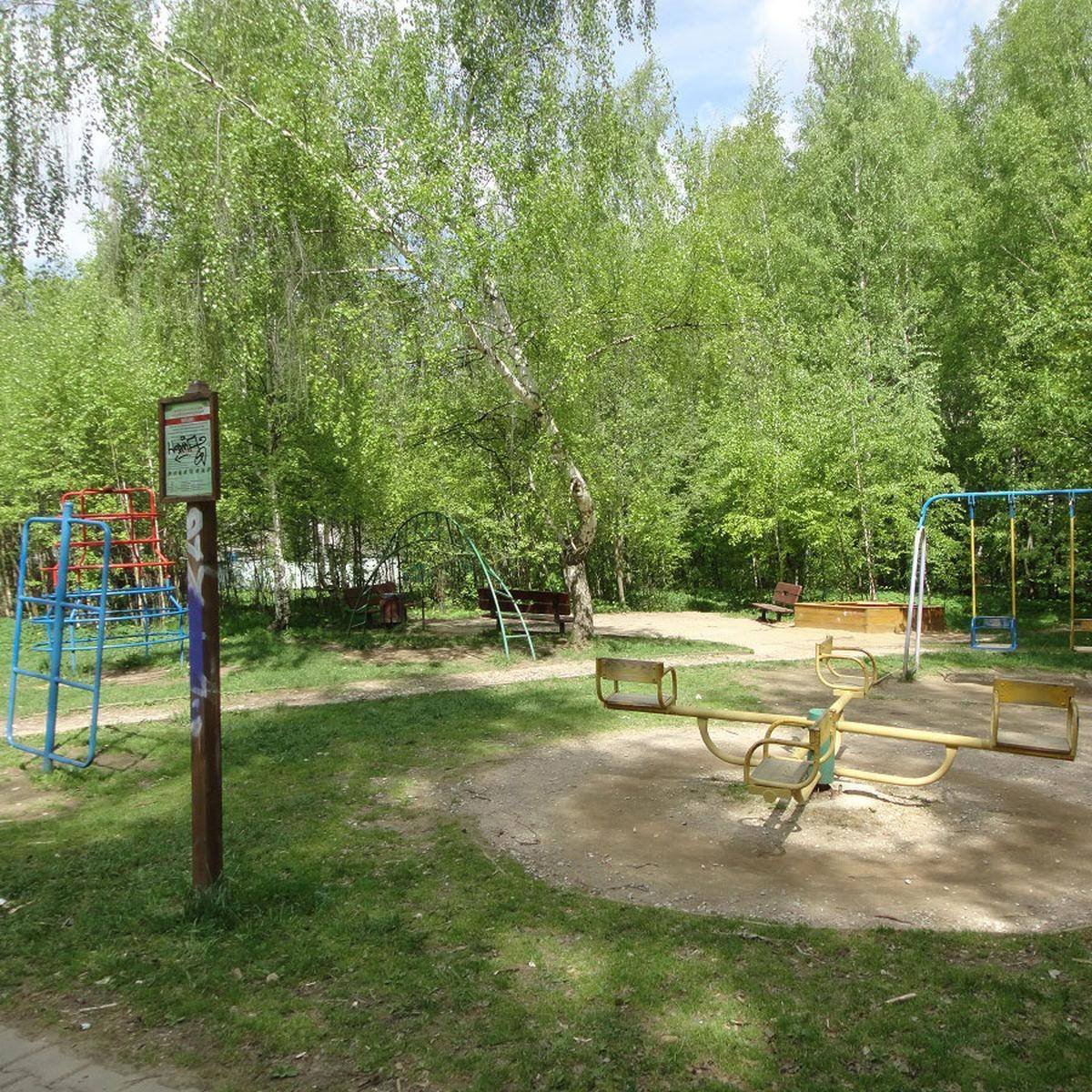 Фото: Детская игровая площадка №1, Лесопарк Баковского