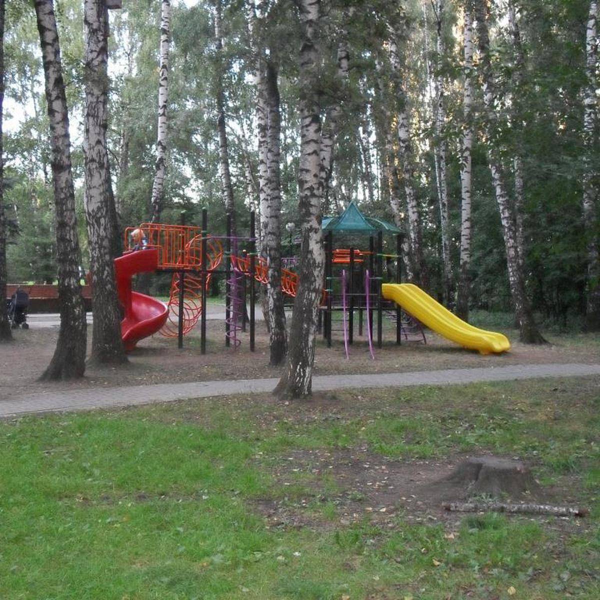 Фото: Детская игровая площадка №1, Медведковский лесопарк