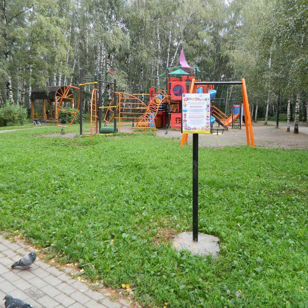 Фото: Детская игровая площадка №2, Медведковский лесопарк