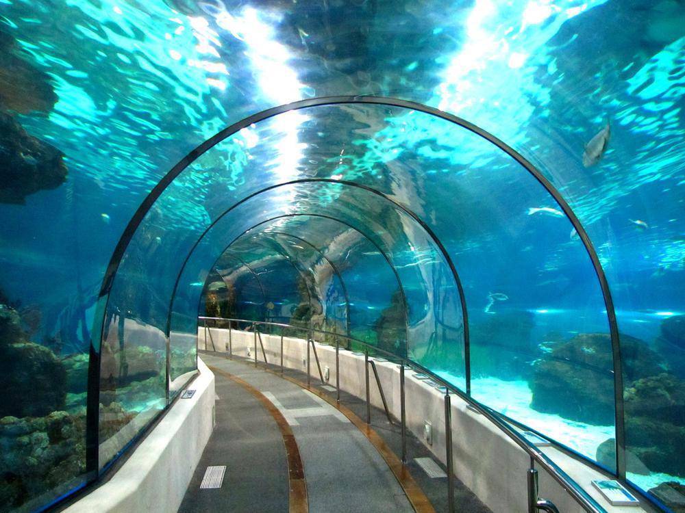 Фото: Барселонский аквариум