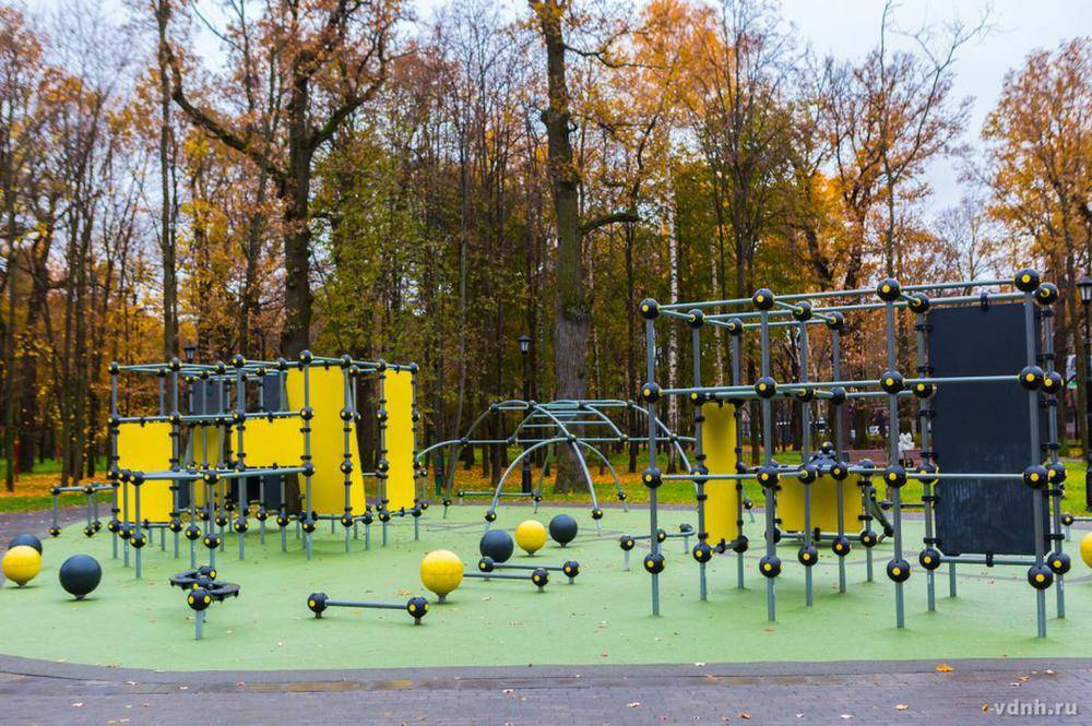 Фото: Детская площадка для паркура в парке Останкино, Москва